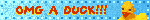 desc